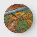 Recherche de herbe horloges Forêt