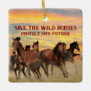 Recherche de mustang sauvage ornements Chevaux