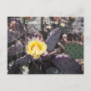 Recherche de fleurs jaunes cartes postales Cactus