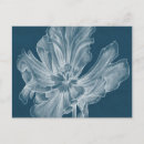 Zoek naar tulip briefkaarten Floraal