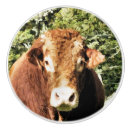 Recherche de bétail boutons et poignées de porte Animaux de ferme