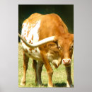 Recherche de longhorn du texas posters Bovin