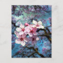 Recherche de jacaranda cartes postales Fleurs
