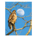 Recherche de astrologique posters Ciel