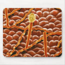 Recherche de rouille tapis souris Feuille