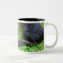 Recherche de chien teckel tasses Horizontal