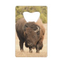 Recherche de bison ouvre bouteilles Faune