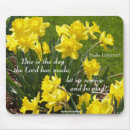 Recherche de narcisse tapis souris Jardin