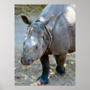 Recherche de rhino posters Animaux