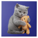 Recherche de ours mignons carreaux Ours en peluche