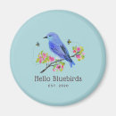 Recherche de bleuet magnets Illustration
