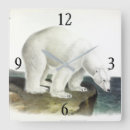 Recherche de ursus Ursus maritime