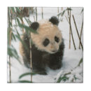 Recherche de panda carreaux Bébé