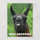 Recherche de le cri cartes postales Humour