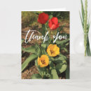 Recherche de jaune de tulipe vœux cartes Floral