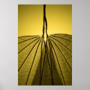 Zoek naar biologie posters Plant