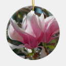 Recherche de magnolia ornements Rose