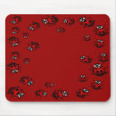 Recherche de petite coccinelle tapis souris Insecte