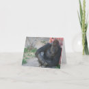 Recherche de singe gorille vœux cartes Ape