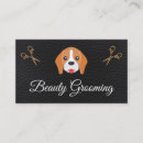 Recherche de compagnon animal cartes visite Chien