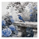 Recherche de hortensias bleus posters Jardin