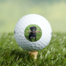 Recherche de dog golf balles Amusant