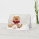 Zoek naar perzische katten kaarten Schattig