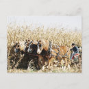 Zoek naar harvest briefkaarten Boerderij