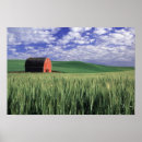 Zoek naar tarwe posters Zomer