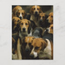 Zoek naar jachthonden briefkaarten Huisdieren