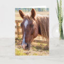 Recherche de photos de cheval vœux cartes Équitation