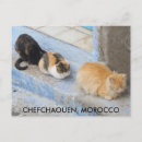 Recherche de chefchaouen cartes postales Marocain
