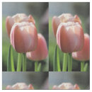 Zoek naar tulpen stoffen Tuin