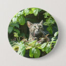Recherche de observation badges Photographie