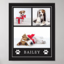 Recherche de noir blanc chien posters Dogs