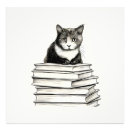Recherche de photos de chaton Mignon