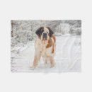 Recherche de st bernard photographie Anniversaire