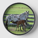 Recherche de colt horloges Mare