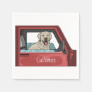 Recherche de laboratoire serviettes Chien