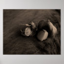 Recherche de beau photographie art Monochrome