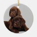 Recherche de chocolat ornements Chiot