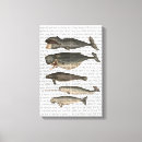 Recherche de cinq impressions sur toile Animaux