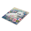 Recherche de persan carreaux Minou