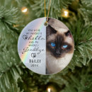 Recherche de cat memorial Cats