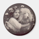 Recherche de le caniche standard magnets Mignon