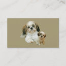 Recherche de tzu de shih cartes visite Chien