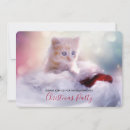 Recherche de chaton adorable invitations Animal de compagnie