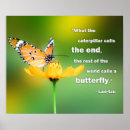Recherche de perspective posters Papillon