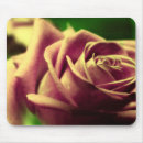 Recherche de rose antique tapis souris Nature