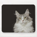 Recherche de adulte tapis souris Nature